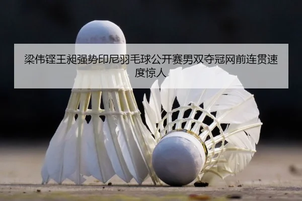 liang-wei-keng-wang-chang-qiang-shi-yin-ni-yu-mao-qiu-gong-kai-sai-nan-shuang-duo-guan-wang-qian-lian-guan-su-du-jing-2-416.jpg
