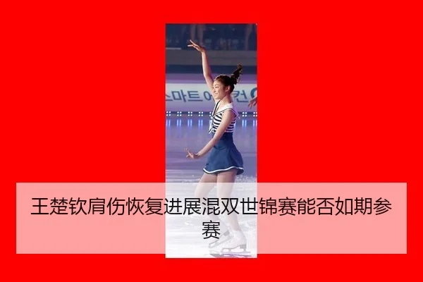 wang-chu-qin-jian-shang-hui-fu-jin-zhan-hun-shuang-shi-jin-sai-neng-fou-ru-qi-can-sai-2-596.jpg